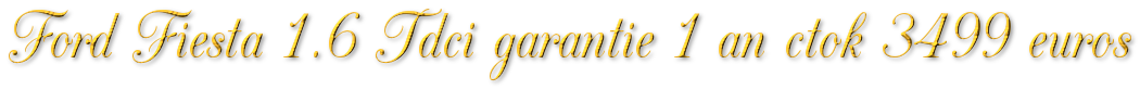 FORD FIESTA 1.6 TDCI ECONETIC GARANTIE 1 AN CTOK 3499€
