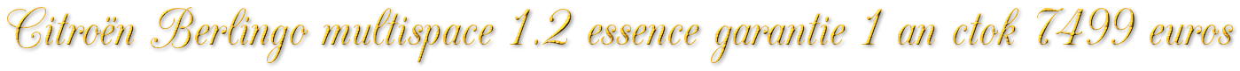 CITROËN BERLINGO MULTISPACE 1.2 ESSENCE GARANTIE 1 AN 7499€