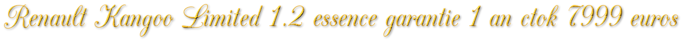 RENAULT KANGOO LIMITED MULTISPACE 1.2 ESSENCE GARANTIE 1 AN 7999€