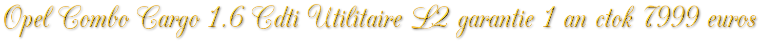 OPEL COMBO CARGO 1.6 CDTI UTILITAIRE L2 GARANTIE 1 AN CTOK 7999€