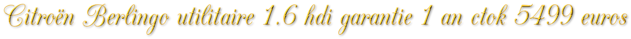 CITROËN BERLINGO 1.6 HDI UTILITAIRE GARANTIE 1 AN CTOK 5499€
